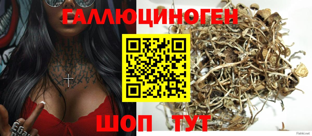 Псилоцибиновые грибы мицелий Полевской